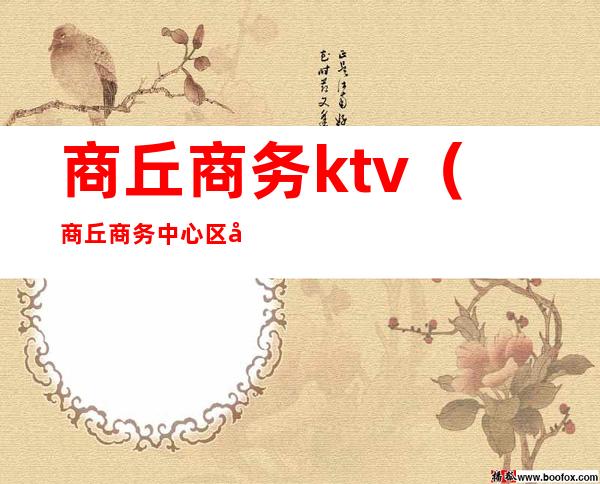 商丘商务ktv（商丘商务中心区公安分局局长）