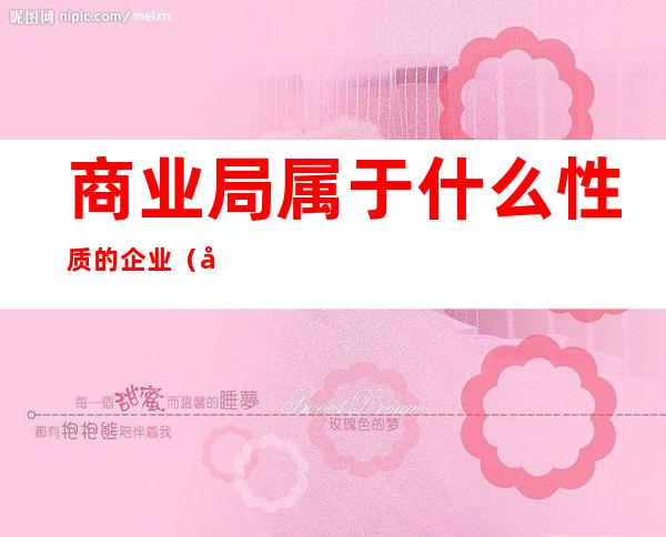 商业局属于什么性质的企业(商业局属于什么性质的企业部门)