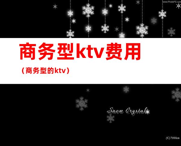 商务型ktv费用(商务型的ktv)