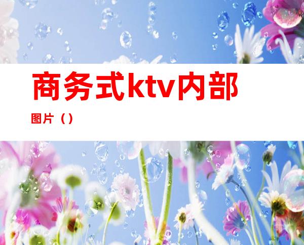 商务式ktv内部图片()