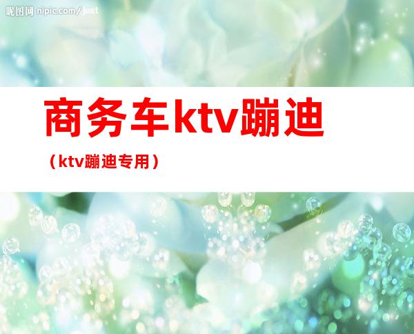 商务车ktv蹦迪(ktv蹦迪专用)