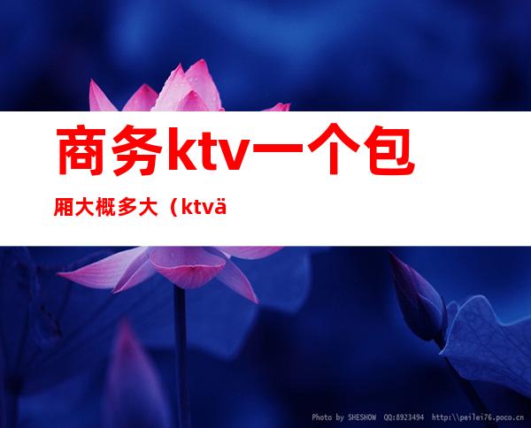 商务ktv一个包厢大概多大(ktv一个大包厢大概多少钱)