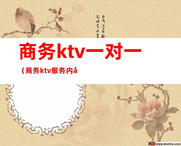 商务ktv一对一（商务ktv服务内容）