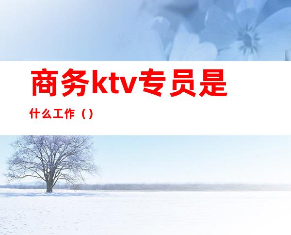 商务ktv专员是什么工作()