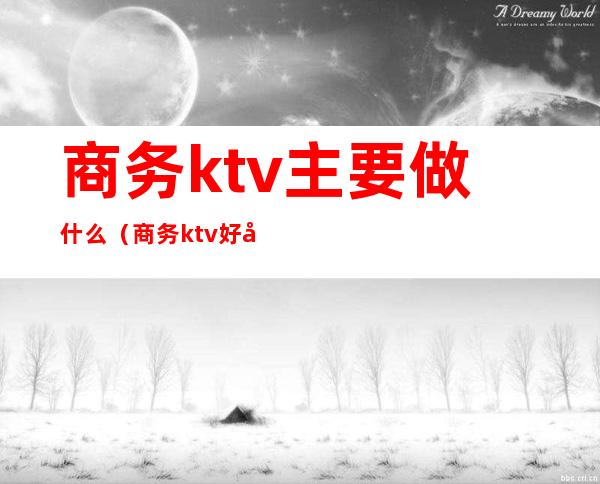 商务ktv主要做什么(商务ktv好做吗)