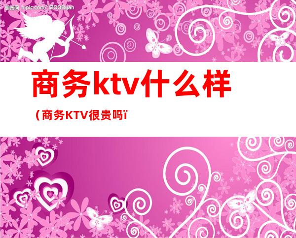 商务ktv什么样(商务KTV很贵吗)
