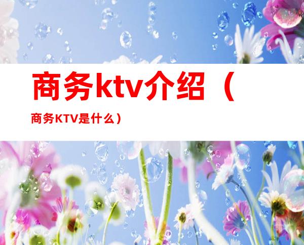 商务ktv介绍(商务KTV是什么)