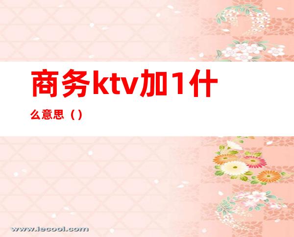 商务ktv加1什么意思()