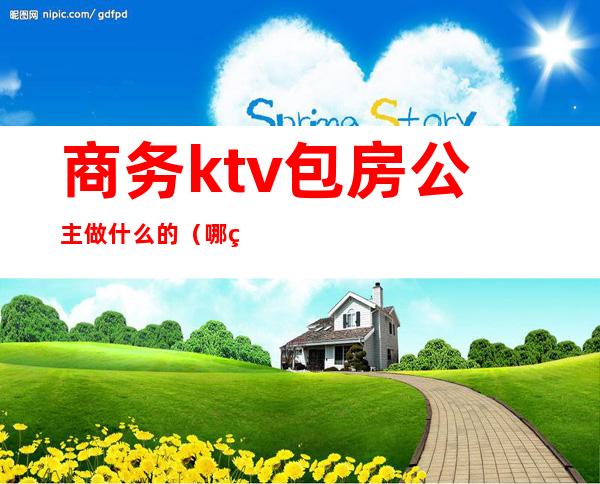 商务ktv包房公主做什么的（哪种ktv才有包房公主）