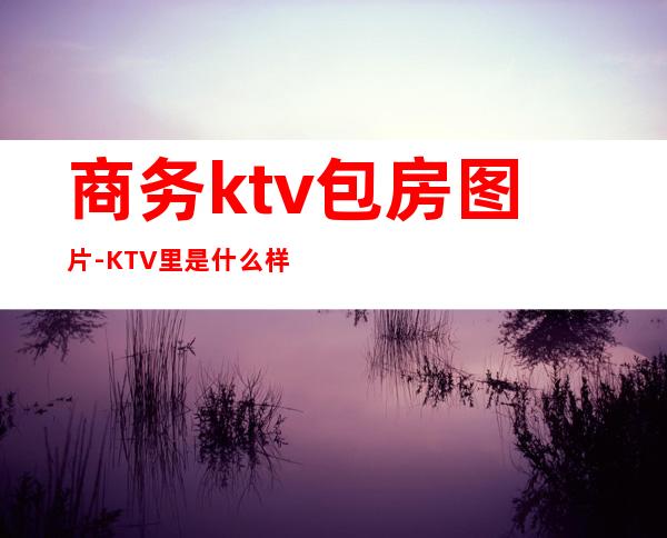 商务ktv包房图片-KTV里是什么样子的?