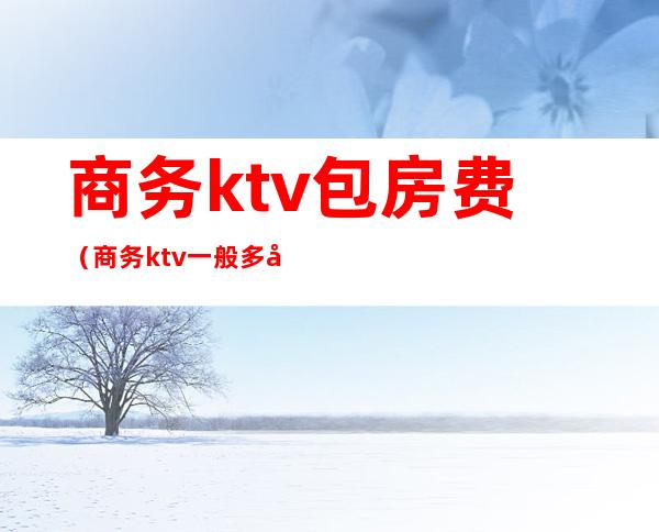 商务ktv包房费(商务ktv一般多少钱)