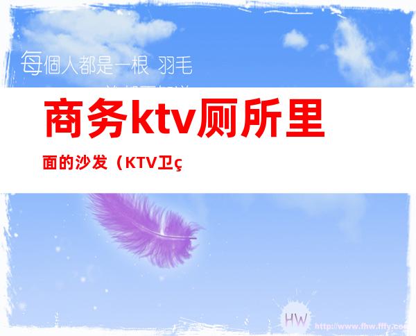 商务ktv厕所里面的沙发(KTV卫生间沙发)