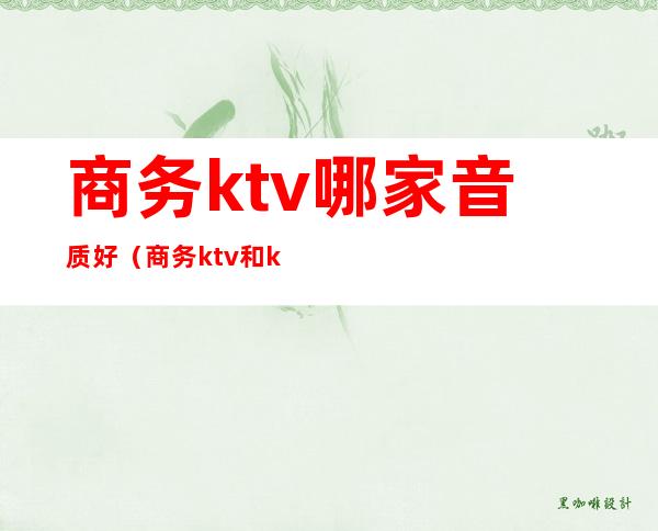商务ktv哪家音质好(商务ktv和ktv)