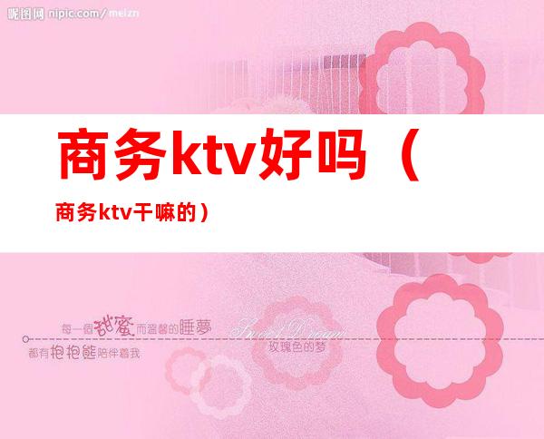 商务ktv好吗(商务ktv干嘛的)