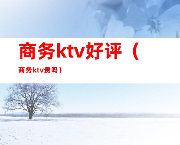 商务ktv好评(商务ktv贵吗)