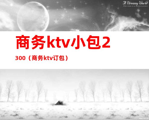 商务ktv小包2300(商务ktv订包)