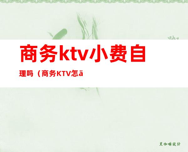 商务ktv小费自理吗(商务KTV怎么收费)