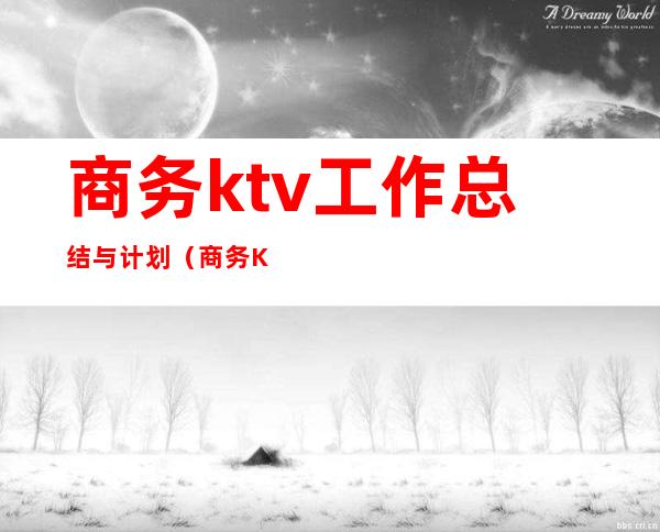 商务ktv工作总结与计划(商务KTV年后总结)