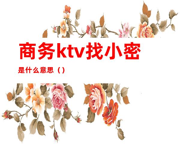 商务ktv找小密是什么意思()