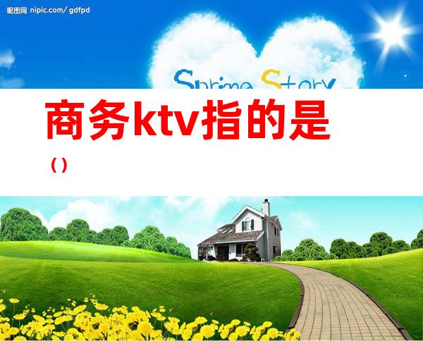 商务ktv指的是()