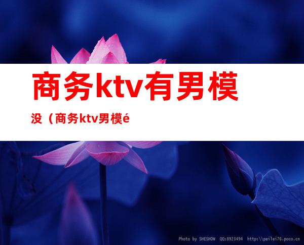 商务ktv有男模没(商务ktv男模需要干嘛)