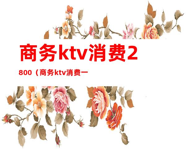 商务ktv消费2800（商务ktv消费一晚大概多少）