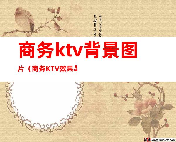 商务ktv背景图片(商务KTV效果图)