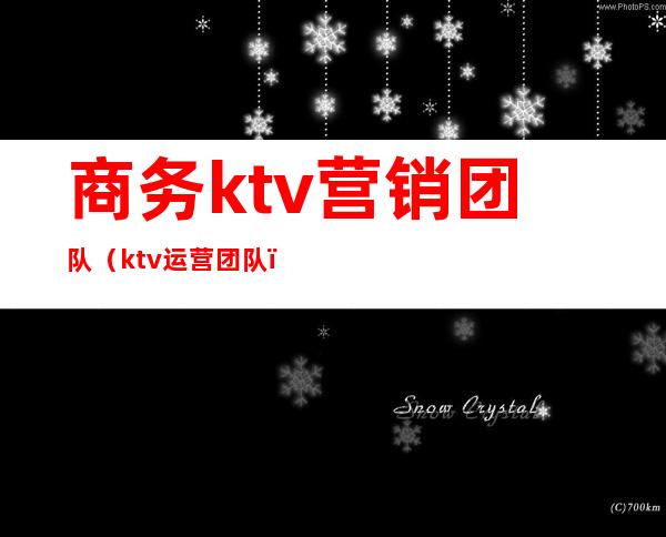 商务ktv营销团队(ktv运营团队)