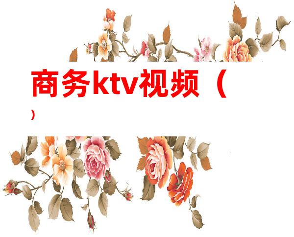 商务ktv视频()