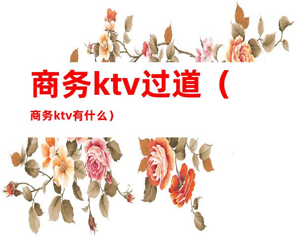 商务ktv过道(商务ktv有什么)