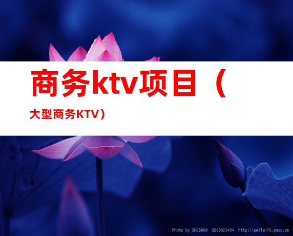 商务ktv项目(大型商务KTV)