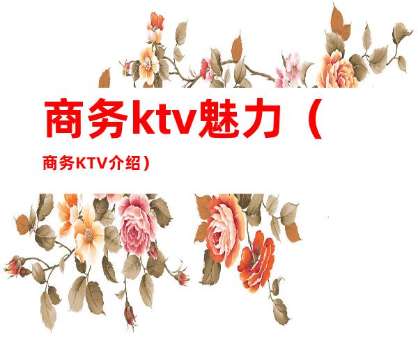商务ktv魅力(商务KTV介绍)