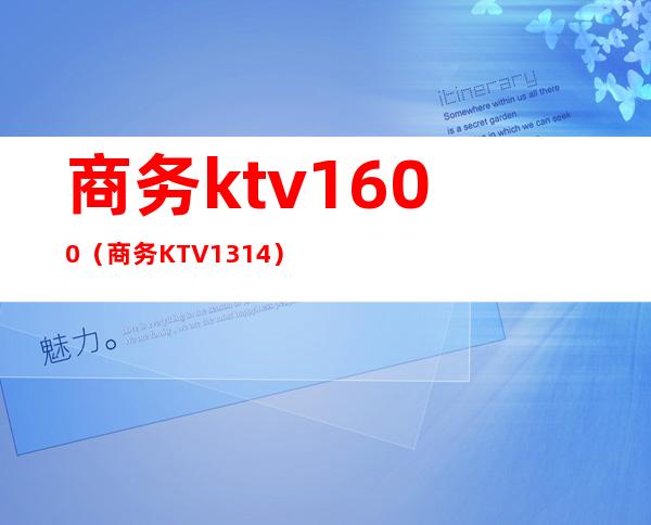 商务ktv1600(商务KTV1314)