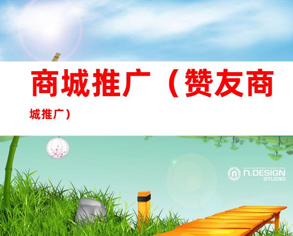 商城推广（赞友商城推广）