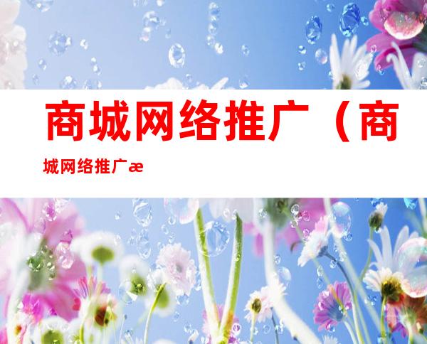 商城网络推广(商城网络推广怎么做)