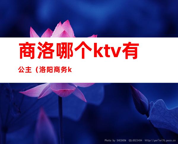 商洛哪个ktv有公主(洛阳商务ktv叫个公主多少钱)