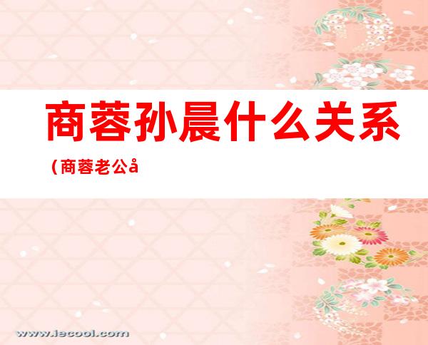商蓉孙晨什么关系（商蓉老公孙玮）