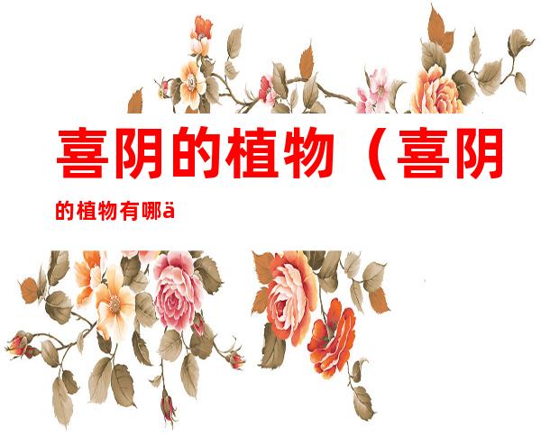 喜阴的植物(喜阴的植物有哪些品种)