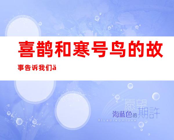 喜鹊和寒号鸟的故事告诉我们什么道理(喜鹊跟寒号鸟的故事)