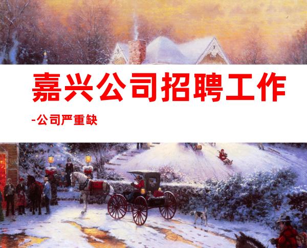 嘉兴公司招聘工作-公司严重缺人中