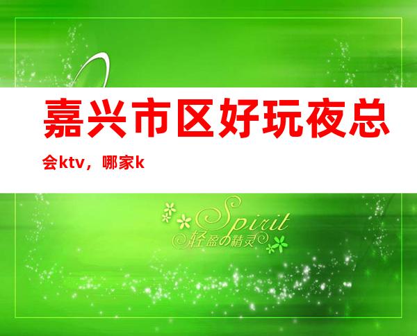 嘉兴市区好玩夜总会ktv，哪家ktv是市区较好的KTV。