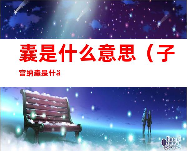 囊是什么意思(子宫纳囊是什么意思)