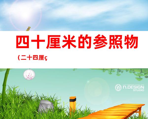 四十厘米的参照物(二十四厘米参照物)