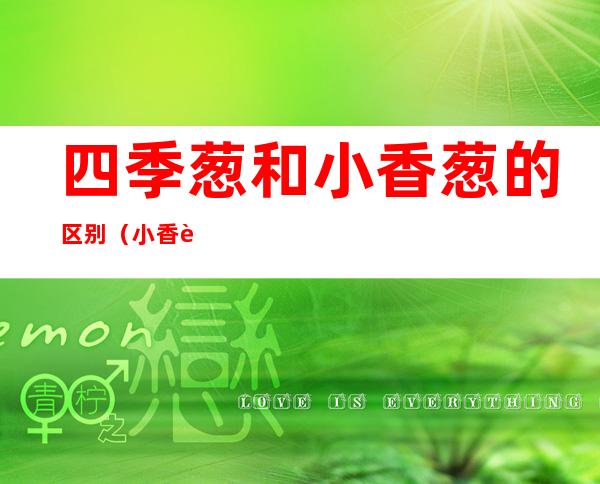 四季葱和小香葱的区别（小香葱与四季葱的辨别）