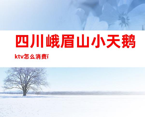 四川峨眉山小天鹅ktv怎么消费()
