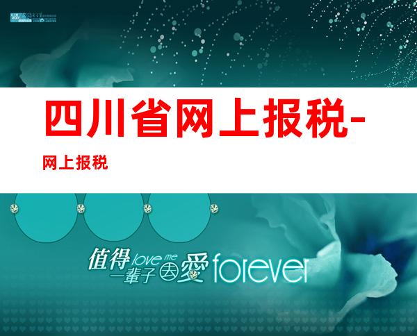 四川省网上报税-网上报税