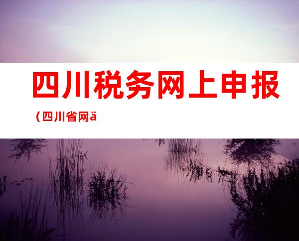四川税务网上申报(四川省网上税务局申报)