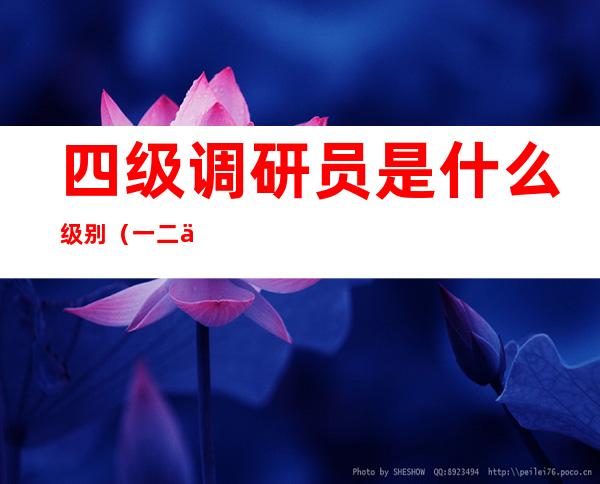 四级调研员是什么级别(一二三四级调研员是什么级别)