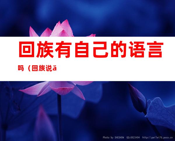 回族有自己的语言吗(回族说什么语言?)