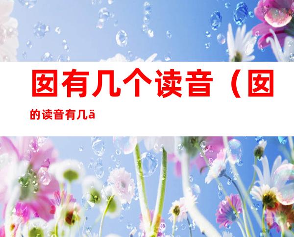 囡有几个读音(囡的读音有几个读法)